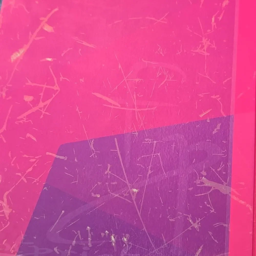 Footprints journal hardcover Inspiration Book jot notes pink and colorful pages